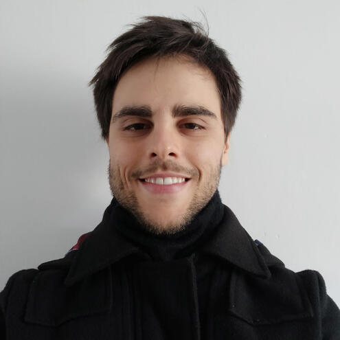Consultor Lider Synesis